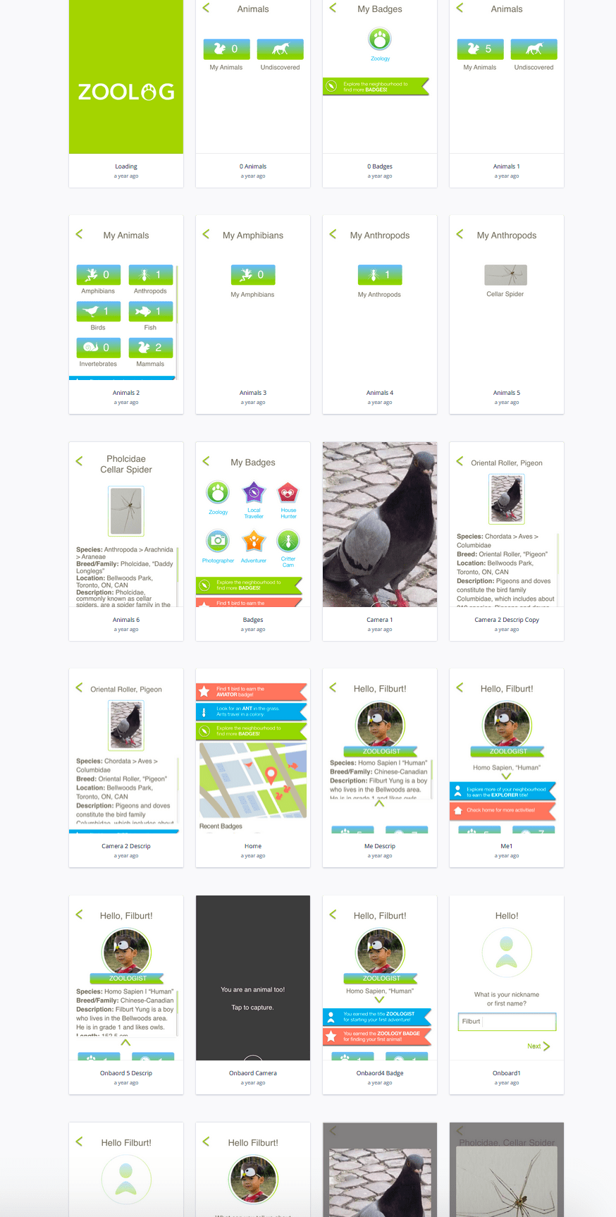 A spread of the Zoolog app screens in Invision.